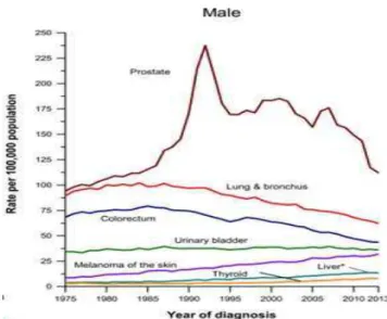 Figura 4. Evolução da incidência do carcinoma da próstata nos E.U.A. por 100.000 habitantes, (1975-2013)