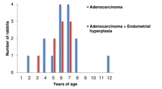 Figure 3. Age distribution of rabbits with adenocarcinoma (n=17) or concurrent adenocarcinoma and  endometrial hyperplasia (n=9)