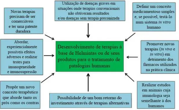 Figura 4 - Formas de potenciar a investigação sobre o Uso Terapêutico dos Helmintas - adaptada de  (Tilp, Kapur, Loging, &amp; Erb, 2013)