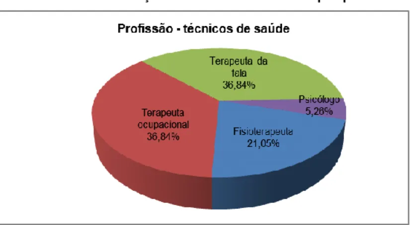 Gráfico nº 8 – Distribuição dos técnicos de saúde por profissão