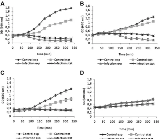 Fig. 2. Infection of planktonic P. aeruginosa cultures with phages: A) phiIBB-PAA2 (ATCC 10145), B) phiIBB-PAP21 (PAO1), C) phiIBB-PAC23 (CECT 111), and D) phiIBB-PACL12 (CLIN) in exponential and stationary growth using a MOI 1