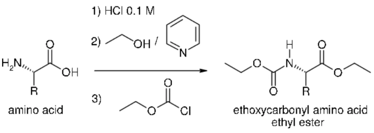 Figure 3: General reaction of an amino acid with ECF to obtain the corresponding volatile ester, in this  way subject to analysis by gas chromatography (taken from Nuevo et al., 2006)