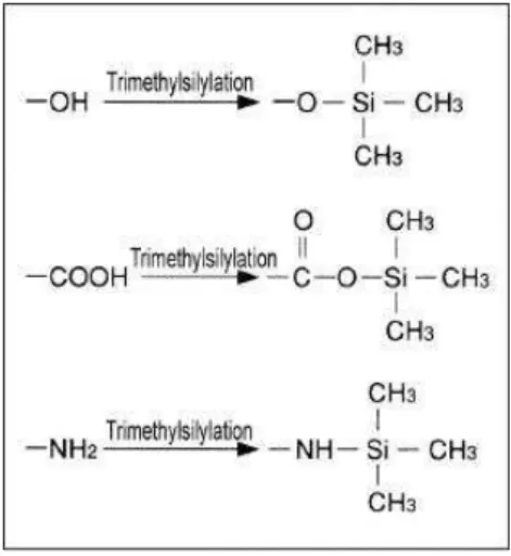 Figure  4:  General  scheme  of  trimethylsilyl  reagents  reaction  with  some  functional  groups,  producing  volatile substituted compounds to be analyzed by gas chromatography (applicable to aspartic acid) (taken  from http://www.wako chem.co.jp/engli