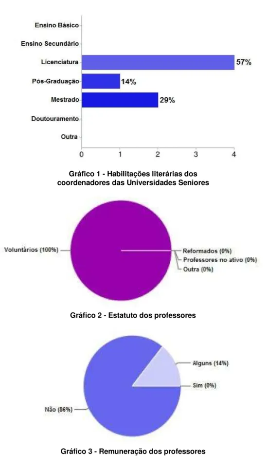 Gráfico 2 - Estatuto dos professores 