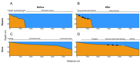 Figure 2 Artiﬁcial reef proﬁle and use (not at scale). (A and C) represent pre-AR deployment (Nazaré and Oura, respectively), (B and D) represent post-AR deployment (Nazaré and Oura, respectively).
