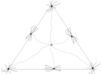 Fig. 7. A biologically plausible model for detecting a triangle may employ a grouping cell with long horizontal  dendrites