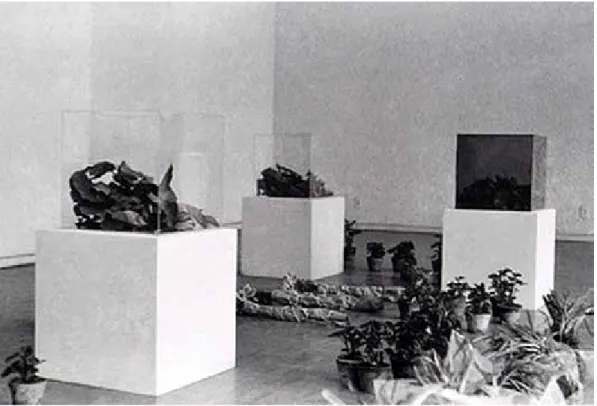 Fig. 5 – Carlos Pasquetti (1948). O jardim, 1971. Ambiente, dimensão variável. Arquivo do artista.