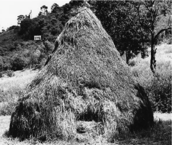 Fig. 7 – Carlos Pasquetti (1948). Espaço para esconderijo, 1972. Palha e estrutura de madeira