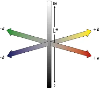Figure 2.4 - CIELAB color space dimensions. The color space uses 3 dimensions to describe color: 