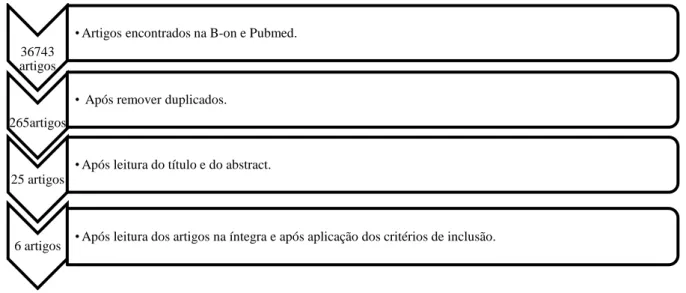 Figura 1- Fluxograma   