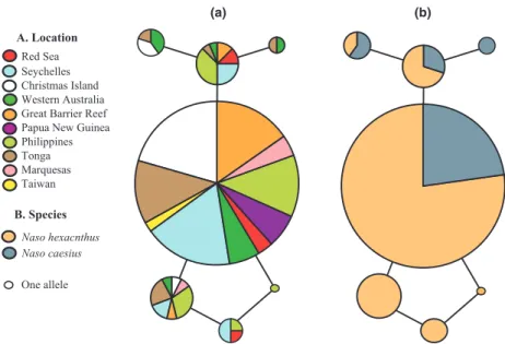 Fig. 1) was a BC heterozygote. Allele D was exclusively found in N. caesius, however, it occurred at such a low frequency that it might be unwise to assume a fixed difference, given a modest sample size.