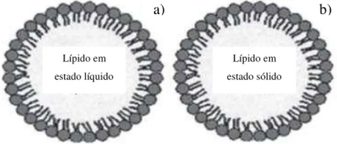 Figura 10 - Estrutura esquemática de uma Nanoemulsão e de uma NLS: a) Nanoemulsão; b) NLS  (adaptada de: http://www.scielo.br/img/revistas/bjft/2012nahead/aop_0711f01.jpg)