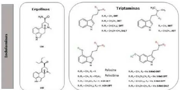 Figura 5 - Estruturas químicas das ergolinas e triptaminas naturais e sintéticas (Adaptado de Araújo et al.,  2015) 