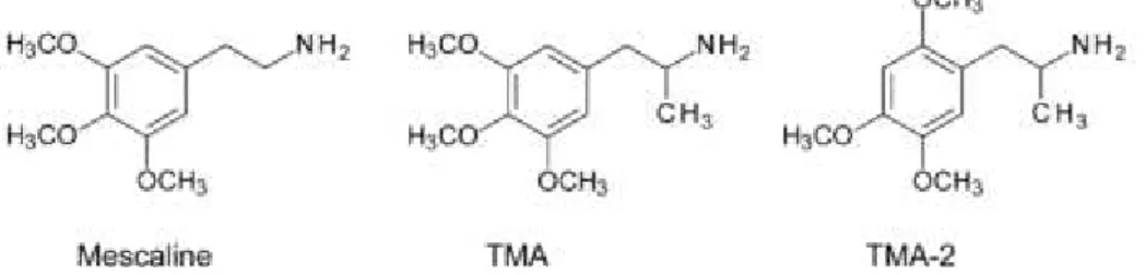 Figura 6 - Estrutura química da mescalina, TMA e TMA-2 (Adaptado de Halberstadt &amp; Geyer, 2013) 