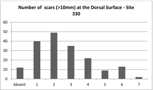 Figure 27 - Number of scars in the dorsal surface of flakes in absolute numbers  –  Site 330 