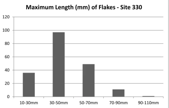 Figure 37 - Frequencies of flakes by maximum length in absolute numbers – Site 330 