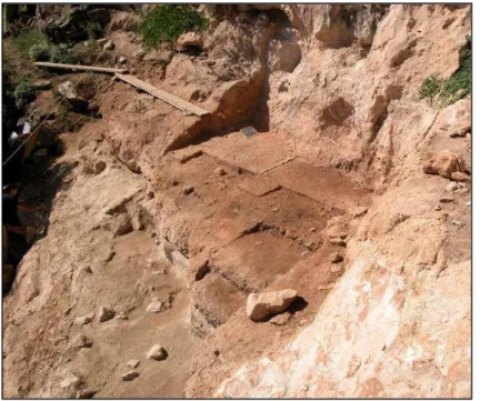 Fig. 5 Stratigraphic profile of the site (Profile P. Boscato) 