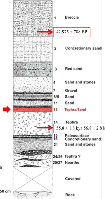 Fig. 6 Stratigraphic scheme of the main US of the site .
