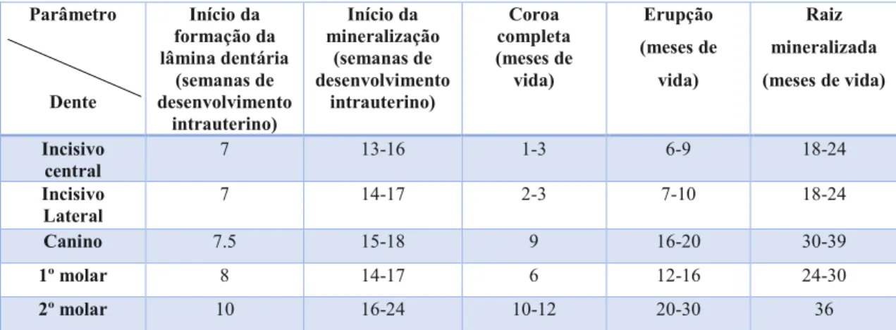 Tabela 2 - Desenvolvimento cronológico da dentição decídua em ambos os sexos (adaptado de Pereira,  2012)