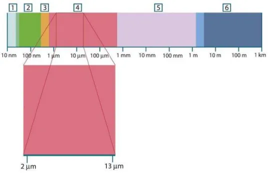 Figura 3. Espectro eletromagnético. 1: Raios-X; 2: Ultravioleta; 3: Espectro visível; 4: Infravermelhos; 