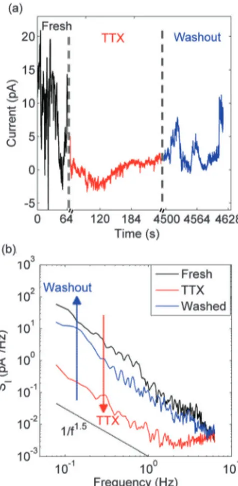 Fig. 3 Noise blocking influence of 1 mM of TTX in fresh C6 glioma cells (a) in black, the current response during 64 seconds of freshly deposited adherent C6 glioma cells