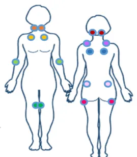 Figura 2- Localização dos “tender points” (Adaptado de National Fibromyalgia Association) 
