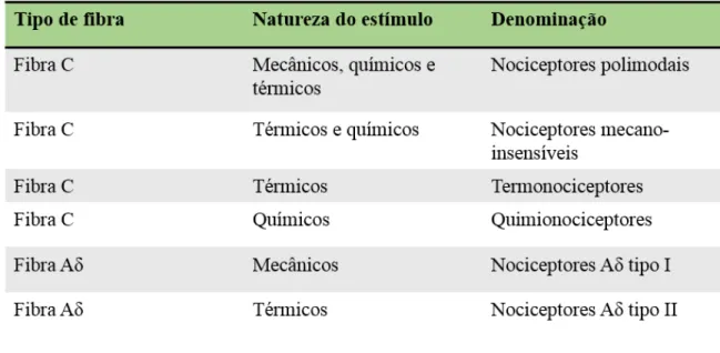 Tabela 3 - Tipos de fibras nervosas sensoriais e classificação dos nociceptores cutâneos (Adaptado de Lopes,2003)