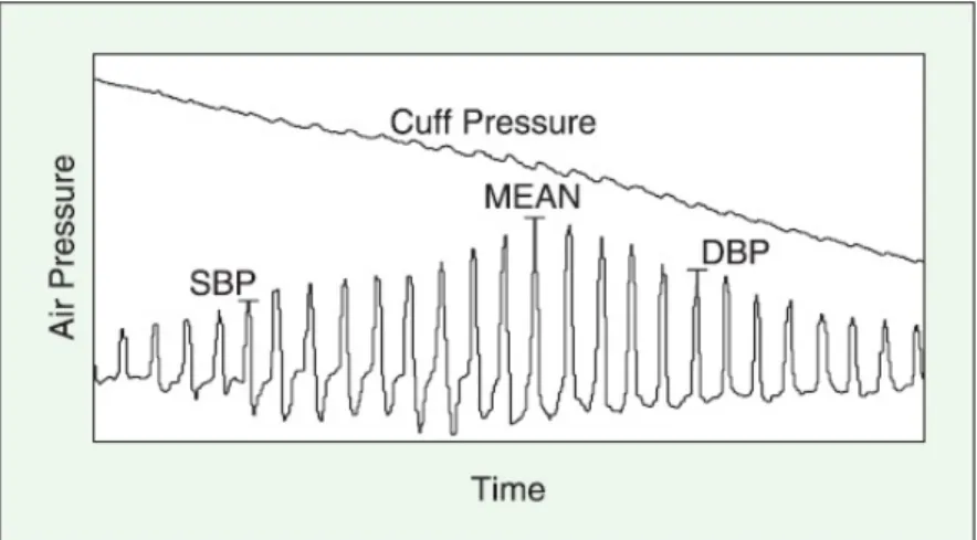 Figure 2.3: Oscillometry: The upper curve shows the oscillometric pulses of the cuff pressure