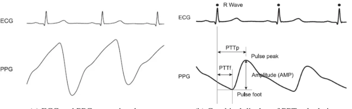 Figure 2.6: Using pulse wave analysis, the R peak can be identified as well as the PPG pulse peak