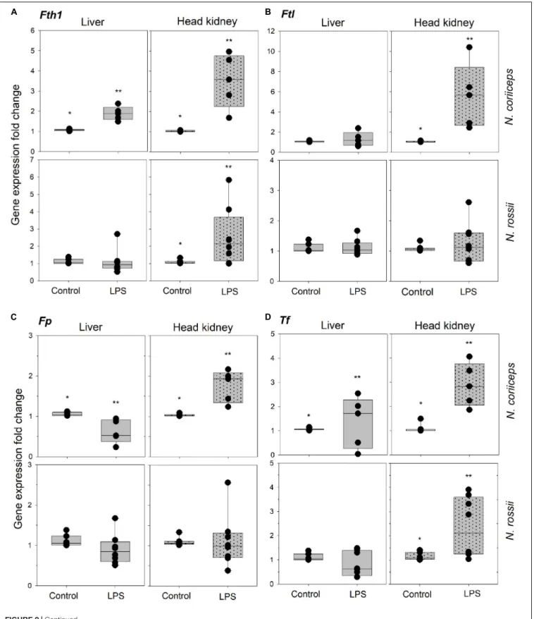 FIGURE 2 | Continued