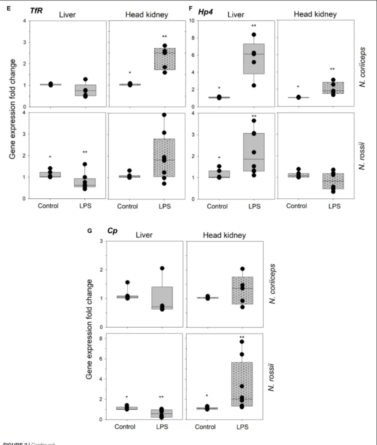 FIGURE 2 | Continued