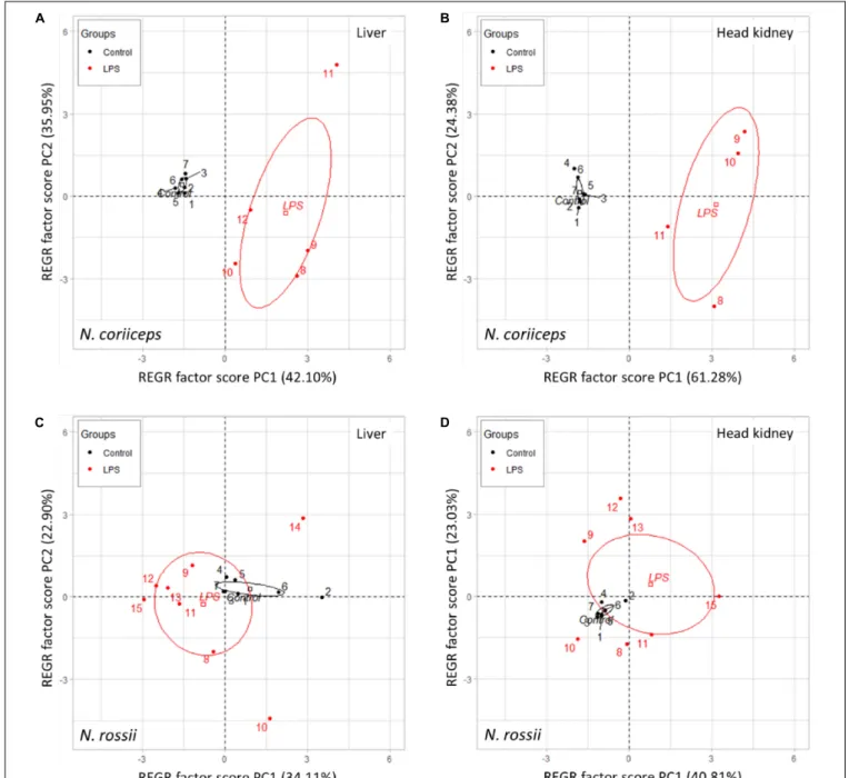 FIGURE 3 | Scatterplot of principal component regression on two dimensions (PC1 and PC2) showing the confidence ellipses (95%) and respective centroids between control and LPS groups, in liver (A) and head kidney (B) of N