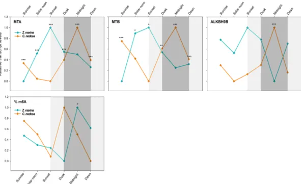 Figure 4. Daily transcript levels (as normalised −ΔCT data) of writer (MTA and MTB) and eraser (ALKBH9B)  genes and % of global m 6 A (normalised data) in Z