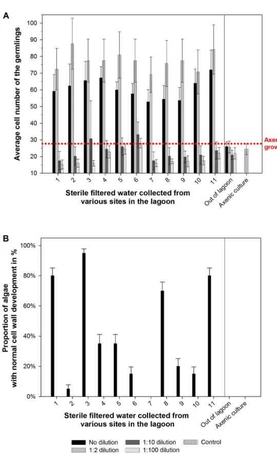 Fig 6. Bioassay of the morphogenetic activity with doubly sterile-filtered water collected from various sampling sites across the lagoon