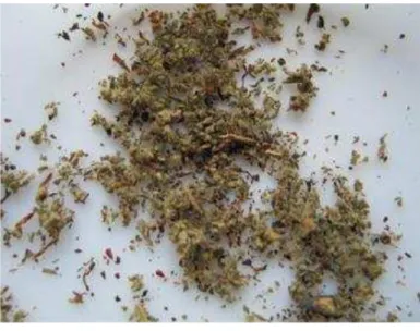 Figura 2 - Mistura herbal de spice. 