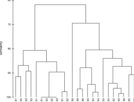 Table V. – M-AMBI values and consequent EcoQS for all sites and sampling periods accord- accord-ing to diversity (H’), richness (S) and AMBI values.
