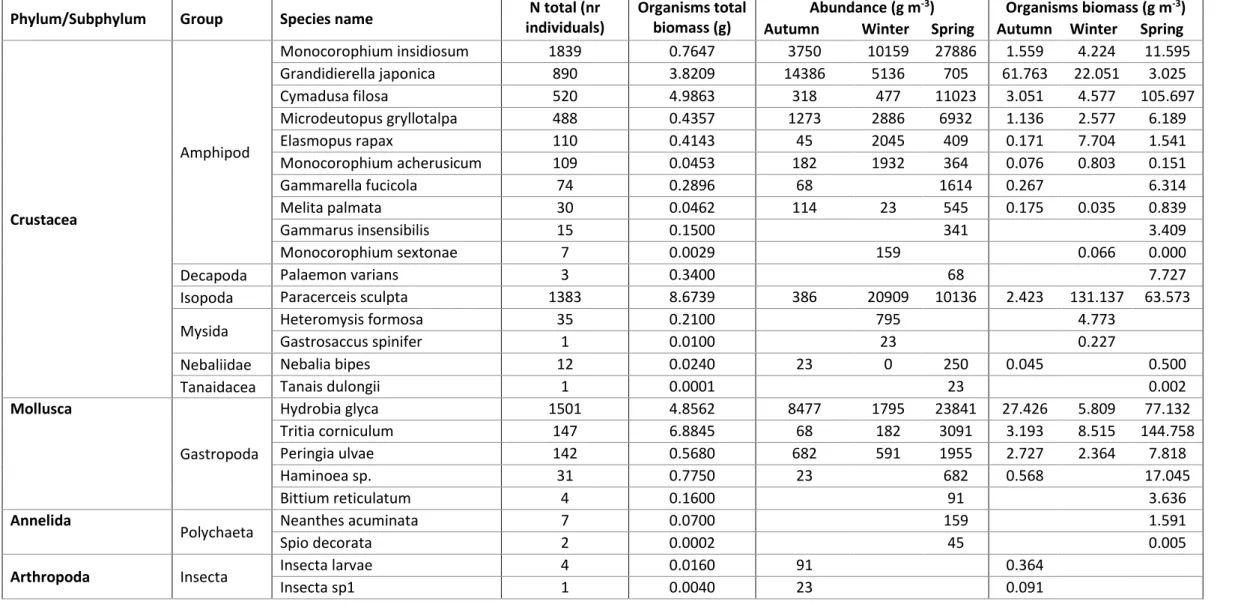 Table 2. Total abundance (number of individuals), total biomass (g) and seasonal variations of density (ind m -3 ) and biomass (g m -3 ), sampled for each taxon