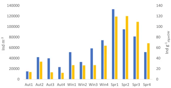 Figure  4.  Density  of  macroinvertebrates  by  water  volume  (ind  m -3 )  and  by  dry  weight  of  algae  (Ind  g -1 algaeDW )  per  sampling occasion