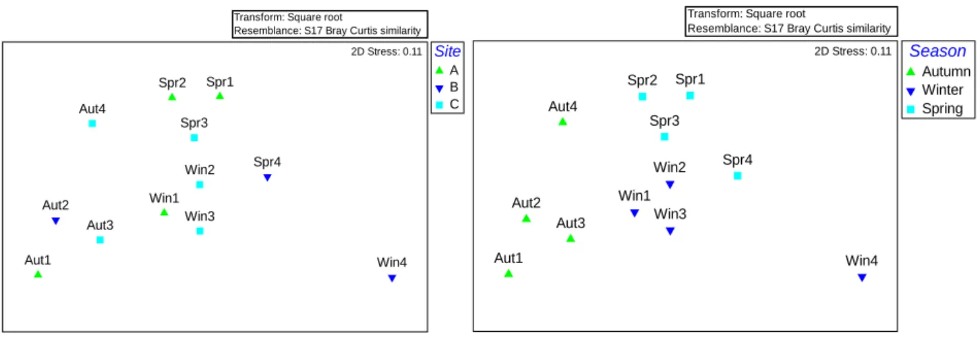 Figure 8. 2D multidimensional scaling (MDS) carried out with abundance data set, to observe the differences between  sites (left) and Season (right)