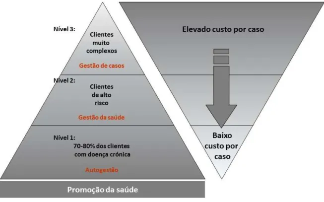 Figura 7: Estrutura de um modelo de gestão de casos e nível de custos (adaptado de  Department of Health, 2004) 