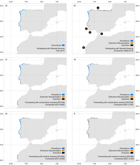 Figure 4.  Distribution of Saccorhiza polyschides in Iberia-Morocco predicted with remote sensing data  (period 1986–2014) and AOGCMs data (period 2015–2100, under two scenarios of greenhouse gas  emissions