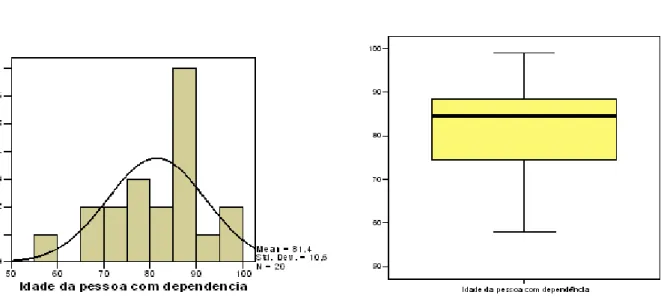 Tabela 13 : Grau de dependência da pessoa dependente