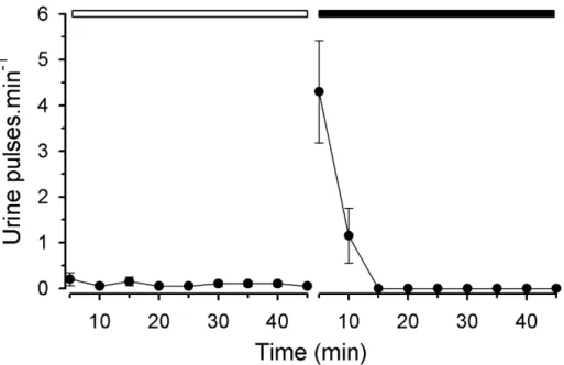 Figure 2A). The urine volume collected from each male at the end of each observation varied between 0 and 1.6 ml;
