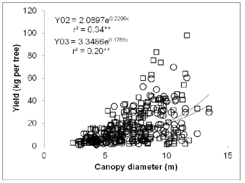 Fig.  2  Relationship  between  canopy  diameter  and  fruit  production  per  tree  in  pure  orchards,  in  two  consecutive  years  (2002,  Y02,  circles)  and  (2003,  Y03,  squares)