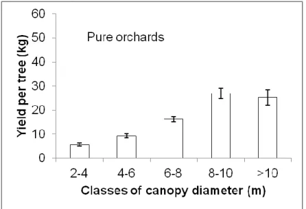 Fig 5 Yield per tree and per different classes of canopy diameter. Means ± standard error  