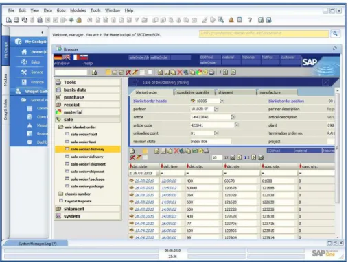 Figura 1 – SAP SCM 