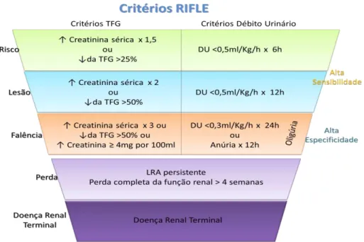 Figura 6 – Sistema de Classificação RIFLE, adaptado de (Ricci, Cruz &amp; Ronco 2008) 