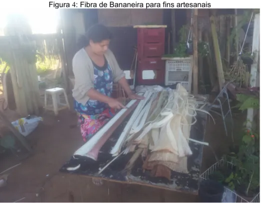 Figura 4: Fibra de Bananeira para fins artesanais