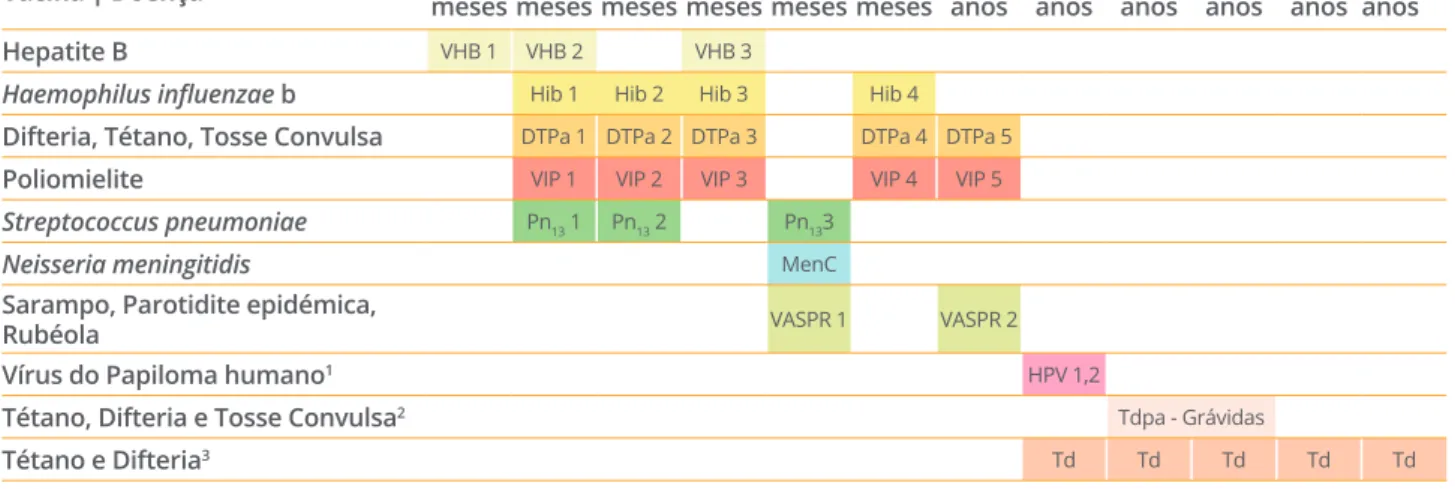 FIGURA 13.  PNV 2017: Esquema vacinal recomendado