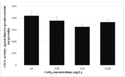 Figure 3- Glutationa S-transferase (GSTs) activity in liver after exposed to CeO 2 - -NPs